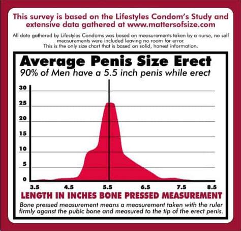 average penis porn